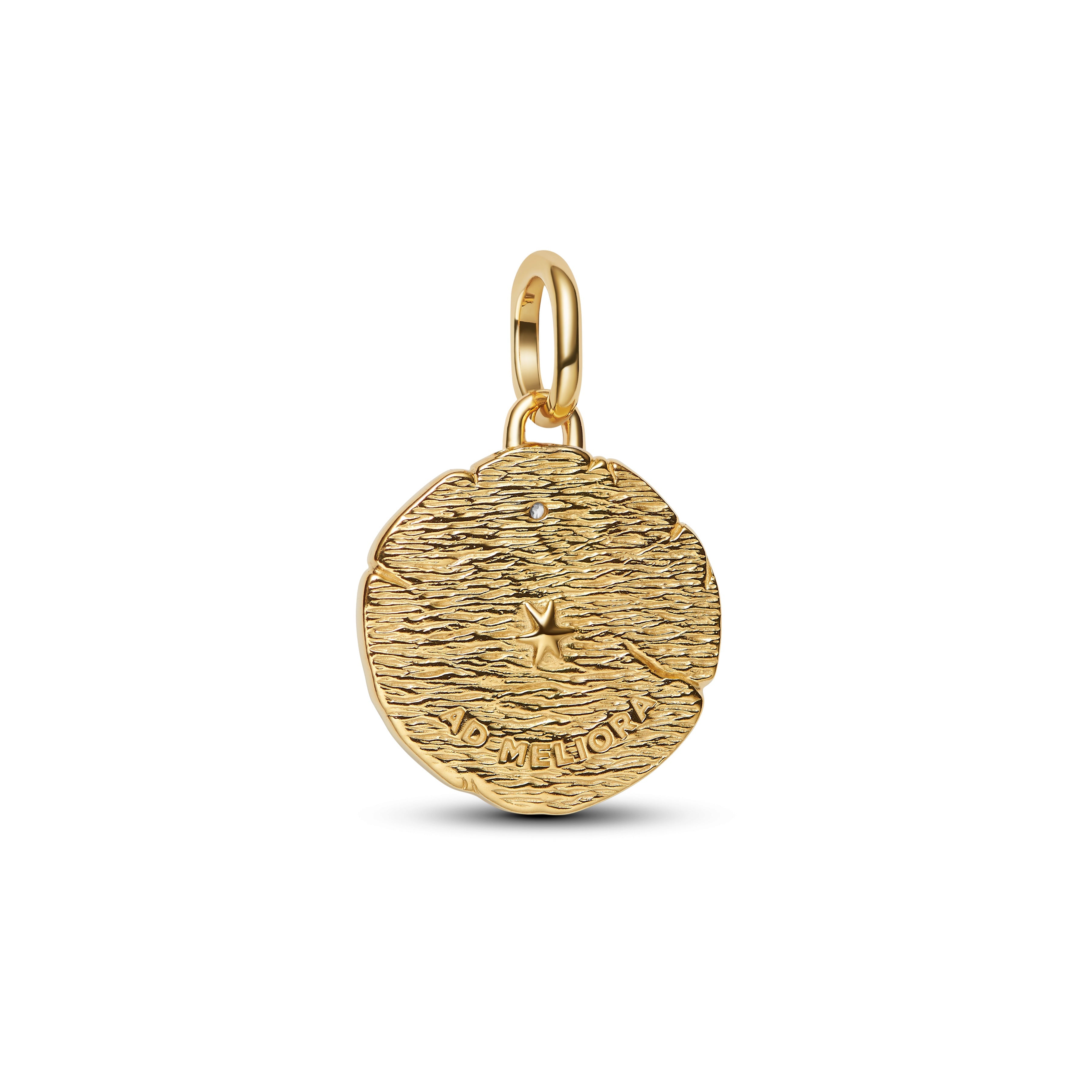 Crossing Arrows Sterling Silver And 14K Gold-Plated Medallion With Clear Cubic Zirconia
